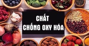 công dụng trà bách nhật hoa chống oxy hóa 