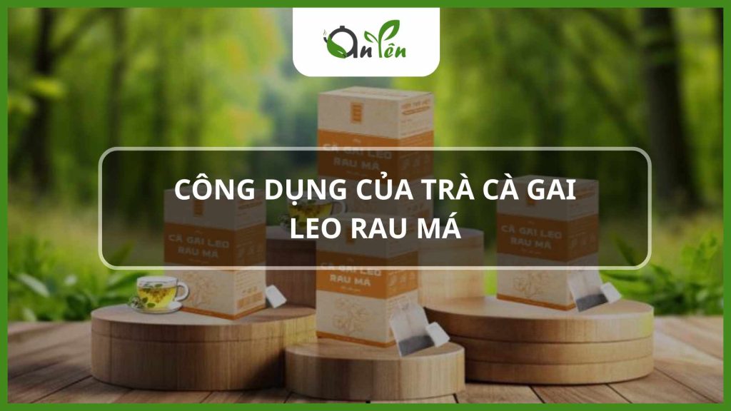 Công Dụng Trà Cà Gai Leo Rau Má