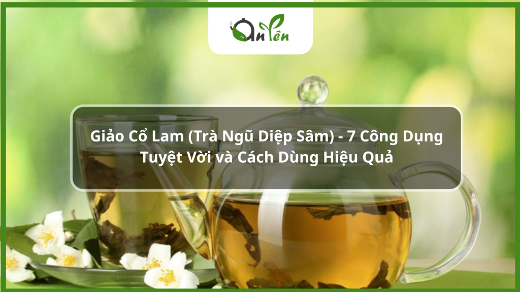 Công dụng và cách sử dụng trà ngũ diệp sâm