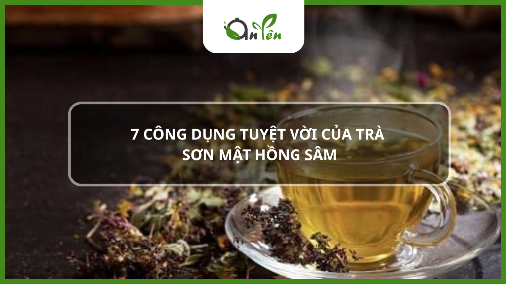 7 Công dụng của trà sơn mật hồng sâm.