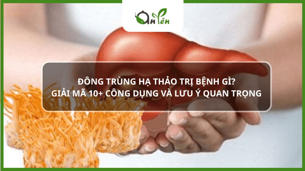 Đông trùng hạ thảo trị bệnh gì? Lưu ý và công dụng quan trọng