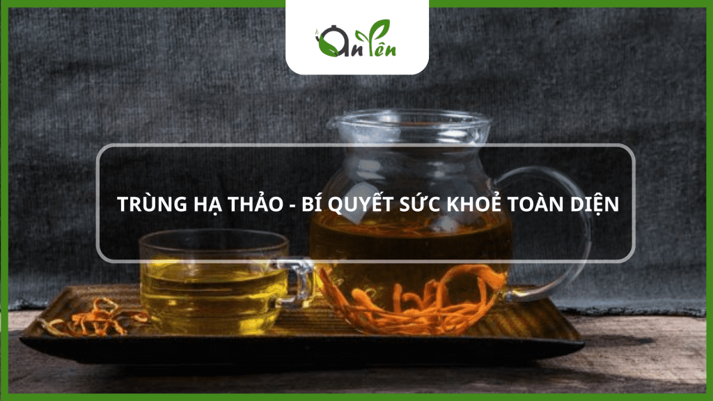 Bí quyết sức khoẻ toàn diện